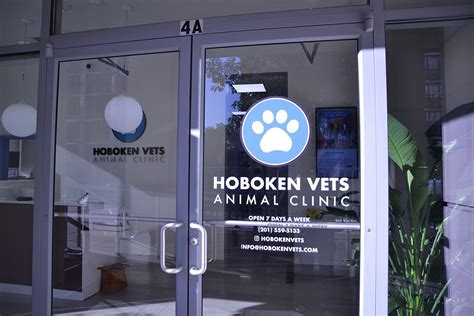 tudor vets|hoboken animal infirmary.